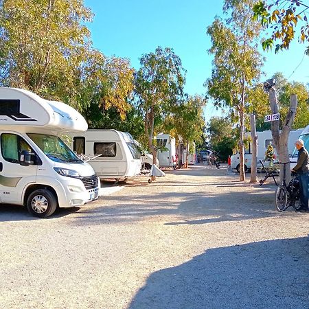 Hotel Camping La Naranja Gandia Zewnętrze zdjęcie