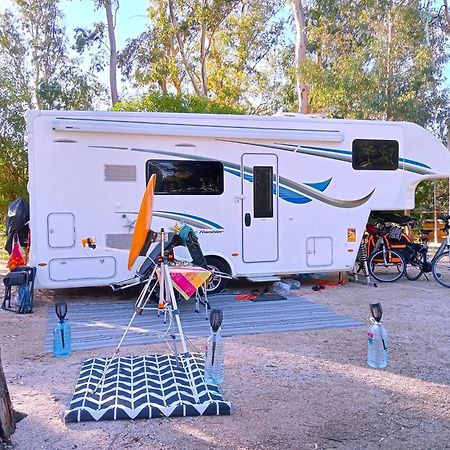 Hotel Camping La Naranja Gandia Zewnętrze zdjęcie