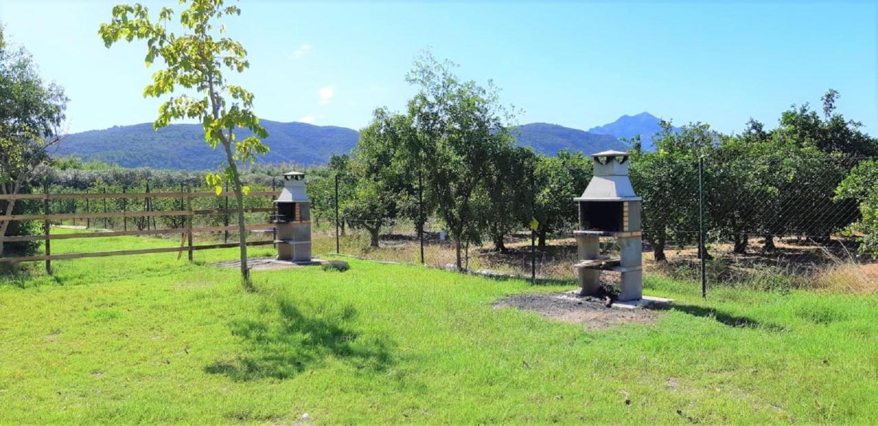 Hotel Camping La Naranja Gandia Zewnętrze zdjęcie