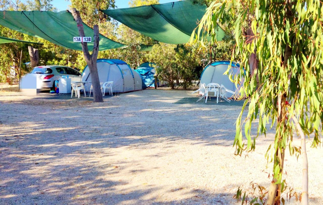 Hotel Camping La Naranja Gandia Zewnętrze zdjęcie
