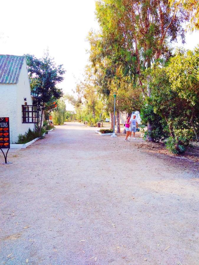 Hotel Camping La Naranja Gandia Zewnętrze zdjęcie