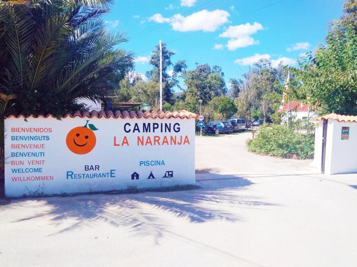 Hotel Camping La Naranja Gandia Zewnętrze zdjęcie