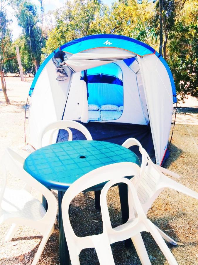 Hotel Camping La Naranja Gandia Zewnętrze zdjęcie