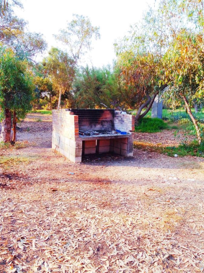 Hotel Camping La Naranja Gandia Zewnętrze zdjęcie